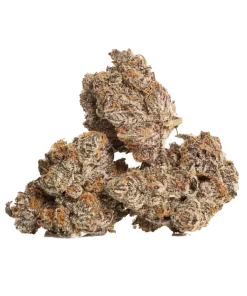 Blueberry dream strain weed flower