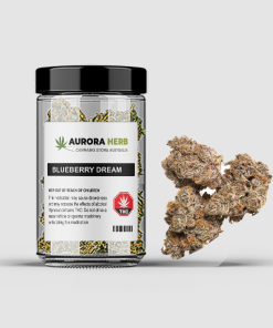 Blueberry dream strain weed in a jar
