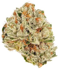 Lemon cherry gelato strain flower