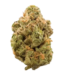 Purple haze strain cannabis flower