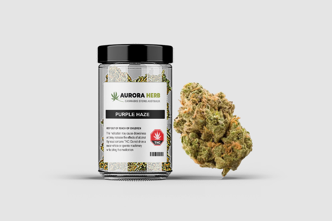 Purple haze strain cannabis flower in a jar