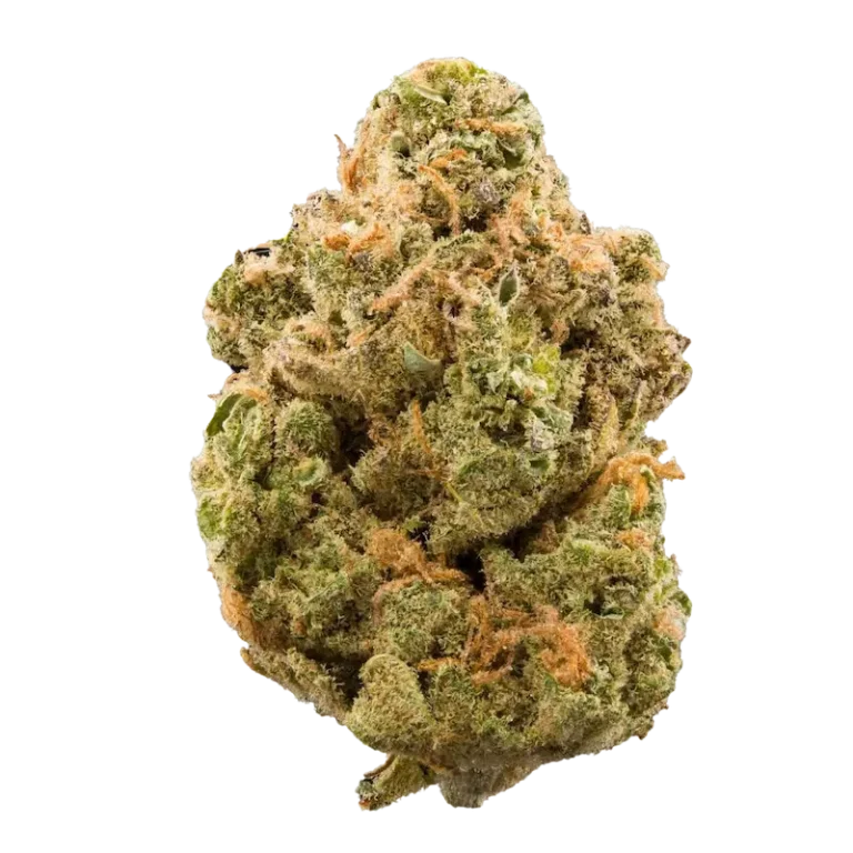 Purple haze strain cannabis flower