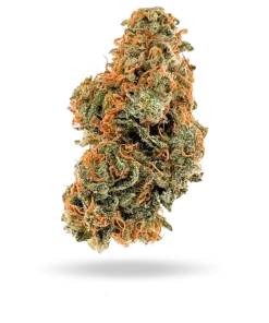 Sundaze sierra blaze strain