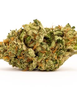 White Widow Cannabis Strain - Aurora Herb weed strain