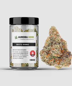 White rhino strain strain - Aurora weed in a jar