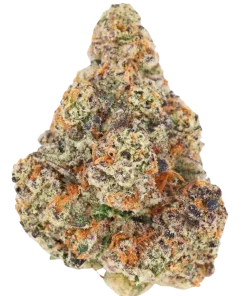 White rhino strain strain - Aurora weed strain