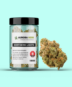 northern lights weed in a jar